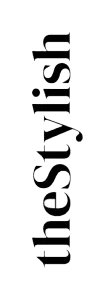 thestylish logo